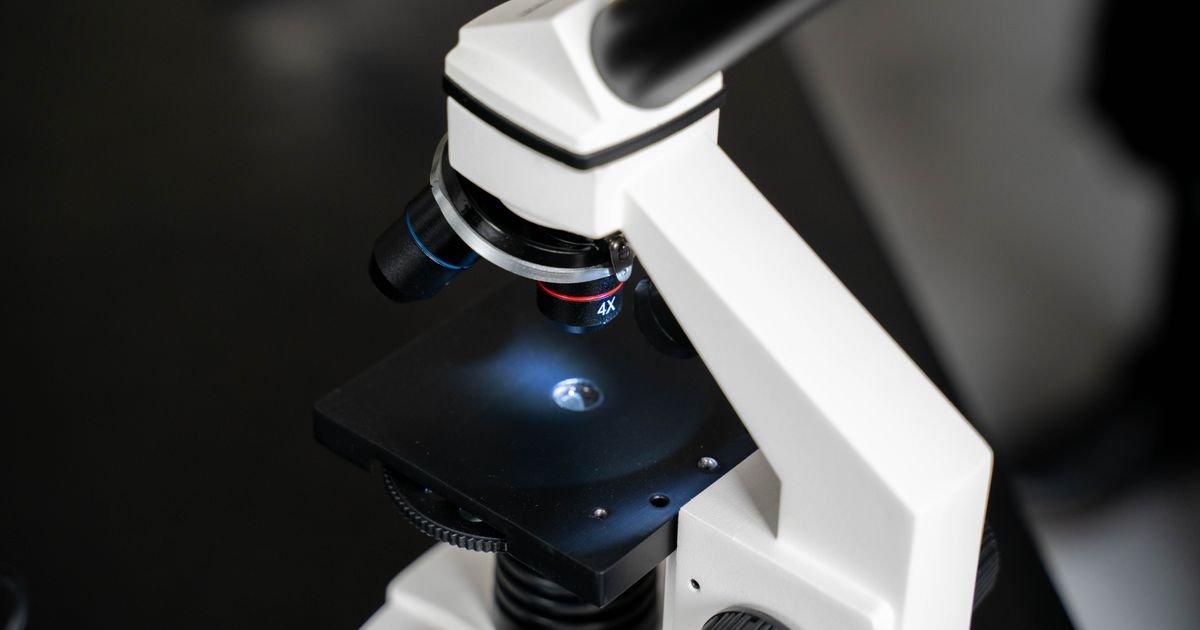 Análise ao microscópio em laboratório — biópsia de pele em Patos de Minas e Varjão de Minas